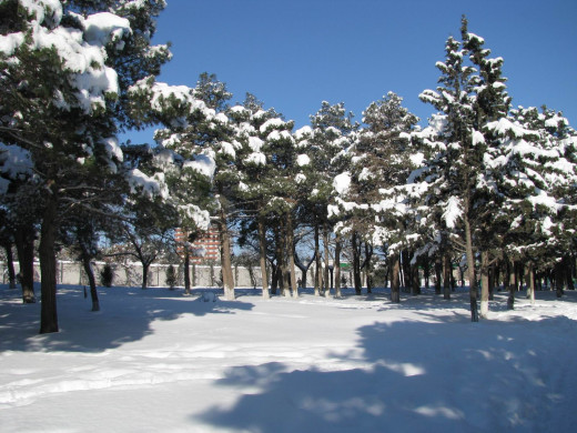 36004 (a): :1600x1200